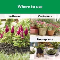 Miracle-Gro Shake 'n Feed Granules All Purpose Plant Food 4.5 Lb -ORBIT || ACE || TORO Shop 5cf583bd d927 4955 8b2a 8c3bce3d355a