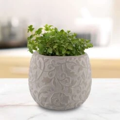 Trendspot Hayden 5.1 In. H X 6.1 In. W X 6.1 In. D X 6 In. D Ceramic Planter Tan -ORBIT || ACE || TORO Shop 5db30b9b e5ae 46ed bbb4 5682f52d36ce