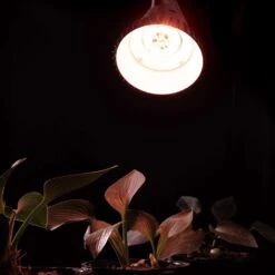 ORBIT || ACE || TORO Shop -ORBIT || ACE || TORO Shop 5ddeba03 247b 4f0f 9ec2 37c3d057bc06