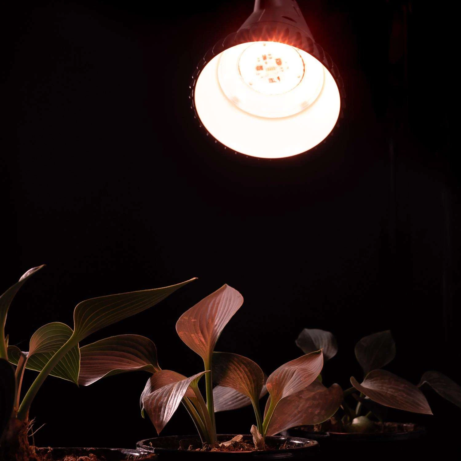 Stonepoint Hydroponic Grow Light 13 W LED 4 Stonepoint Hydroponic Grow Light 13 W LED - Image 2