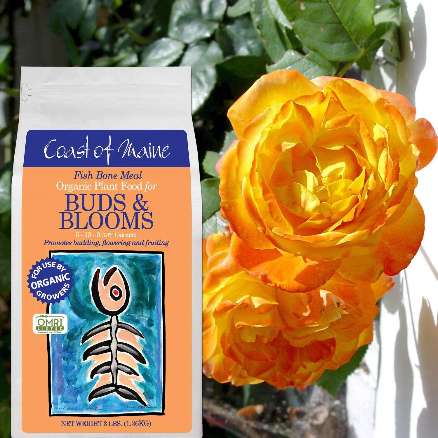 Coast Of Maine Buds & Blooms Organic Granules All Purpose Plant Food 3 Lb 6 Coast Of Maine Buds & Blooms Organic Granules All Purpose Plant Food 3 Lb - Image 4