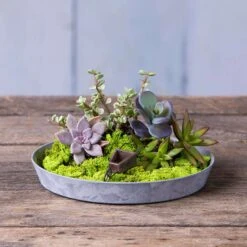 Novelty ArtStone 1.6 In. H X 11.6 In. W X 11.6 In. D X 11.6 In. D Resin Napa Tray Planter Gray -ORBIT || ACE || TORO Shop 62ad8f1b 81d3 424a b477 4207ac114bd5