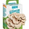 Back To The Roots Mushroom Mini Farm 1 Pk