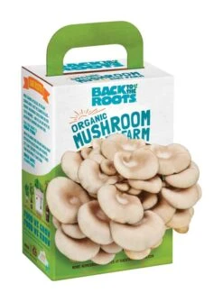Back To The Roots Mushroom Mini Farm 1 Pk