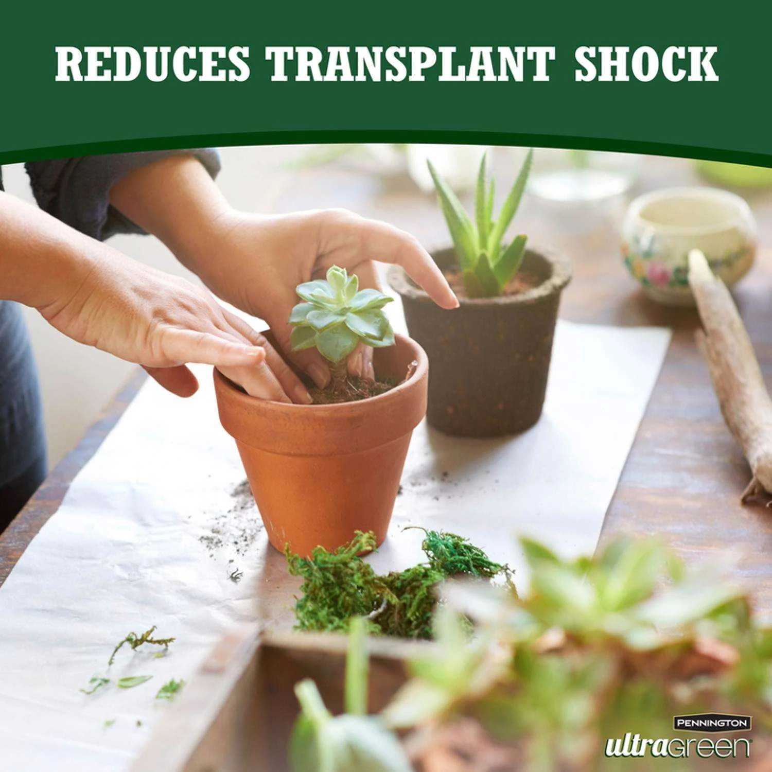 Pennington UltraGreen Liquid Plant Supplement 60 Oz 6 Pennington UltraGreen Liquid Plant Supplement 60 Oz - Image 4