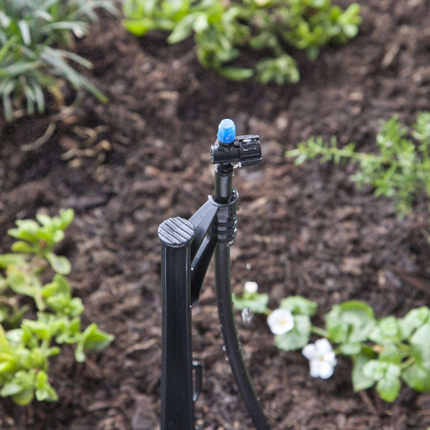 Raindrip Half-Circle Drip Irrigation Micro Spray 20 Gph 10 Pk 4 Raindrip Half-Circle Drip Irrigation Micro Spray 20 Gph 10 Pk - Image 2