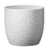 SK Pottery 5.9 In. H X 6.3 In. D Clay Boston Ceramic Pot White