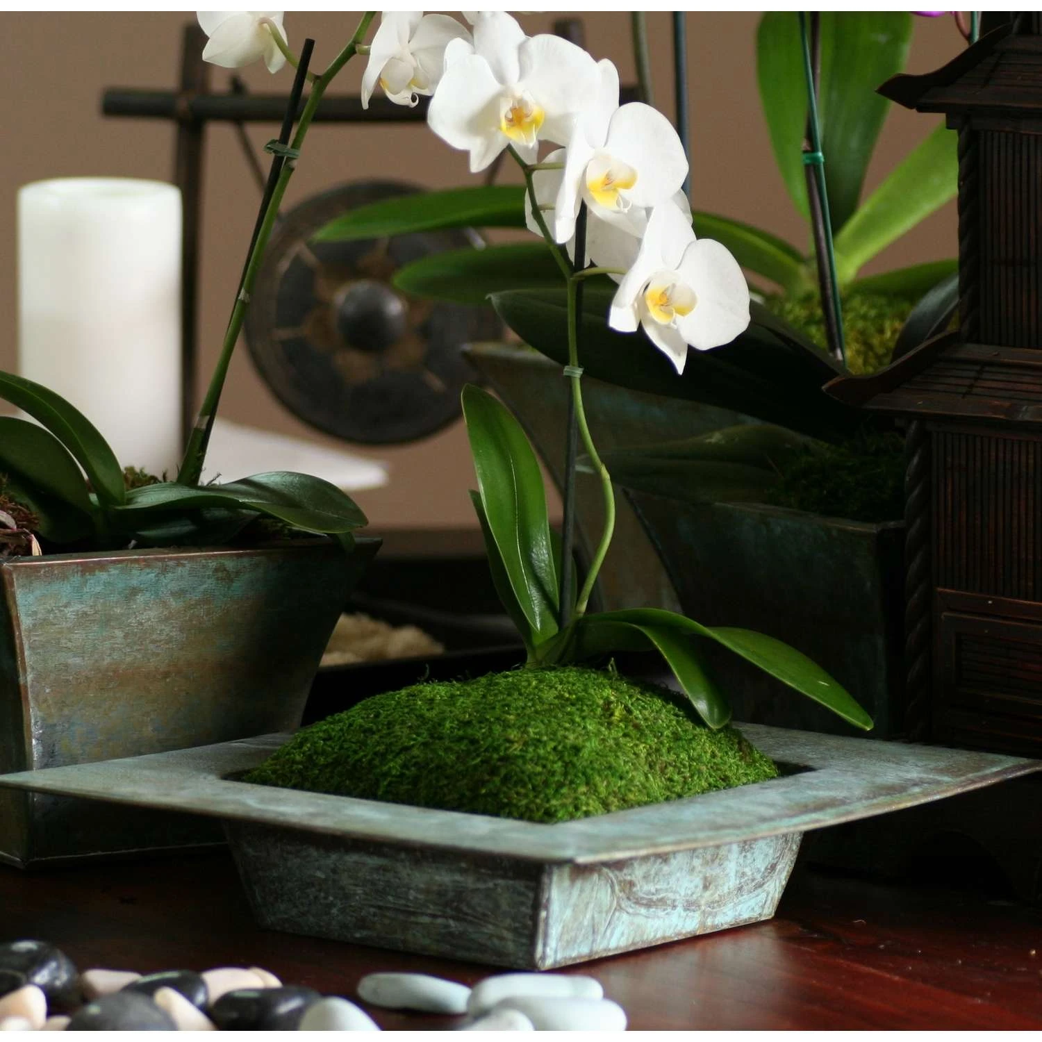 SuperMoss Green Sheet Moss 480 Cu In 5 SuperMoss Green Sheet Moss 480 Cu In - Image 3