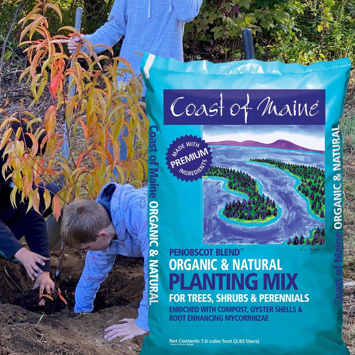 Coast Of Maine Penobscot Blend Organic All Purpose Planting Soil 1 Cu Ft 5 Coast Of Maine Penobscot Blend Organic All Purpose Planting Soil 1 Cu Ft - Image 3