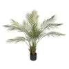Naturae Decor 47 In. H Plastic Artificial Arca Palm Green -ORBIT || ACE || TORO Shop 77aed0ed ef47 442a b827 a55203b0bace