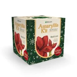 DeGroot Amaryllis Gift Box Bulb Kit 1 Pk (ASSORTED COLORS) -ORBIT || ACE || TORO Shop 796428cb 2174 4342 8573 1e63c1fcb23f