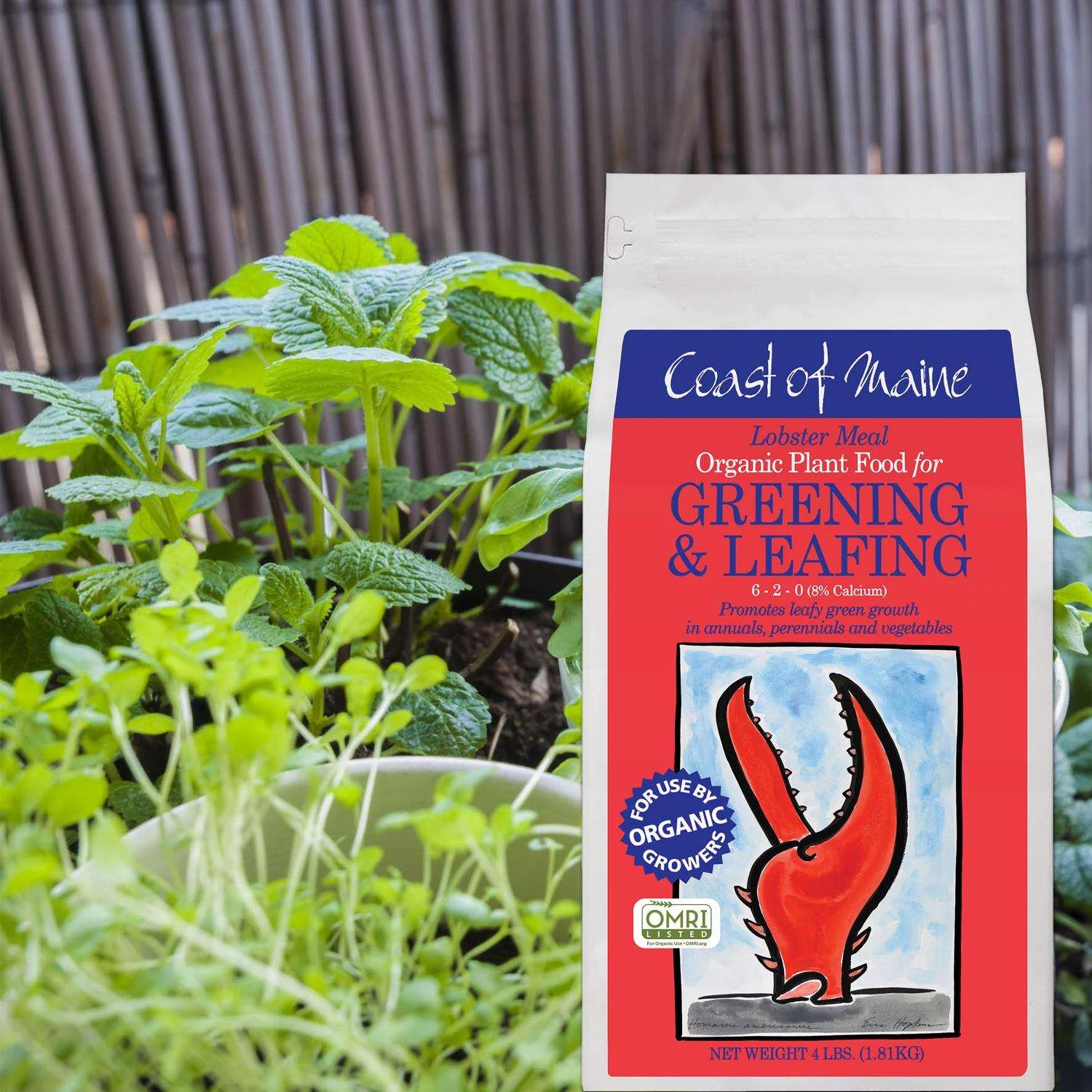 Coast Of Maine Greening & Leafing Organic Granules All Purpose Plant Food 4 Lb 5 Coast Of Maine Greening & Leafing Organic Granules All Purpose Plant Food 4 Lb - Image 3
