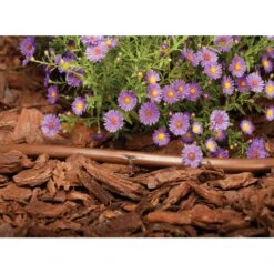 Rain Bird Polyethylene Drip Irrigation Emitter Tubing 1/2 In. D X 100 Ft. L 7 Rain Bird Polyethylene Drip Irrigation Emitter Tubing 1/2 In. D X 100 Ft. L -ORBIT || ACE || TORO Shop 79dcb450 9072 4dbd ad9e b61fedf7ce58