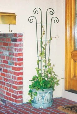 Panacea 48 In. H Black Steel Trellis