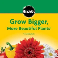 Miracle-Gro Granules All Purpose Plant Food 10 Lb -ORBIT || ACE || TORO Shop 7d4921c3 b6e6 412b aef7 46b7d83344d4