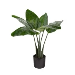 Naturae Decor 31 In. H Plastic Artificial Bird Of Paradise Green