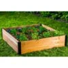 Vita Mezza 11 In. H X 48 In. W X 48 In. D Cedar Garden Planter Espresso Brown