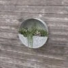 Panacea 14 In. D Metal Wall Planter Galvanized 1 Panacea 14 In. D Metal Wall Planter Galvanized -ORBIT || ACE || TORO Shop 7e493266 33e8 4680 aca2 16a64532c28a
