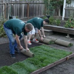 Digger's Root Guard 3 Ft. H X 25 Ft. D Silver Coated Wire Gopher Wire Roll 11 Digger's Root Guard 3 Ft. H X 25 Ft. D Silver Coated Wire Gopher Wire Roll -ORBIT || ACE || TORO Shop 7f0e8e6d 8722 41b9 8330 55cc6ce4c36b