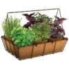 Panacea 14 In. H X 14 In. W Steel Rustic Planter Brown -ORBIT || ACE || TORO Shop 83cc9943 56ba 40df b19c 83339e49dd48