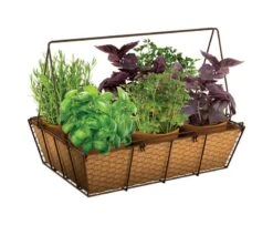 Panacea 14 In. H X 14 In. W Steel Rustic Planter Brown