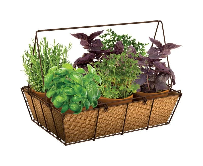 Panacea 14 In. H X 14 In. W Steel Rustic Planter Brown 3 Panacea 14 In. H X 14 In. W Steel Rustic Planter Brown