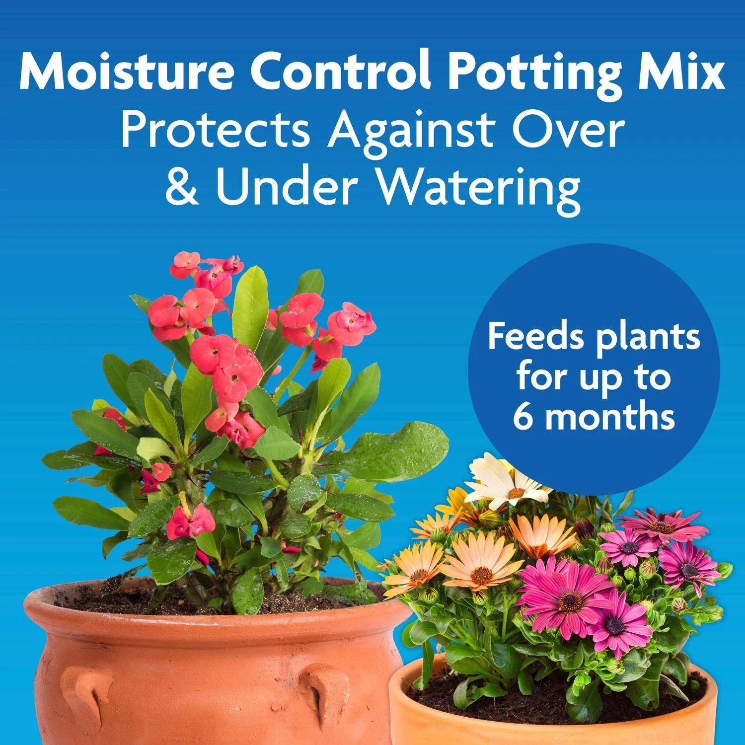 Miracle-Gro Moisture Control Flower And Plant Potting Mix 1 Cu Ft 4 Miracle-Gro Moisture Control Flower And Plant Potting Mix 1 Cu Ft - Image 2