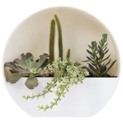 Bloem Bodye 15 In. H X 15 In. D Resin Full Moon Planter White 5 Bloem Bodye 15 In. H X 15 In. D Resin Full Moon Planter White -ORBIT || ACE || TORO Shop 87d4375c 015e 4064 9679 76ac79cbcaec