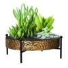 Panacea 10 D Metal Tabletop Succulent Tray With Stand Black -ORBIT || ACE || TORO Shop 888a8e5f ce53 4972 9553 6be0d8321dfe