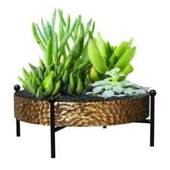 Panacea 10 D Metal Tabletop Succulent Tray With Stand Black
