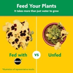 Miracle-Gro Granules All Purpose Plant Food 10 Lb -ORBIT || ACE || TORO Shop 88bc32a1 61e4 45ac 9a27 4b5c5c224724