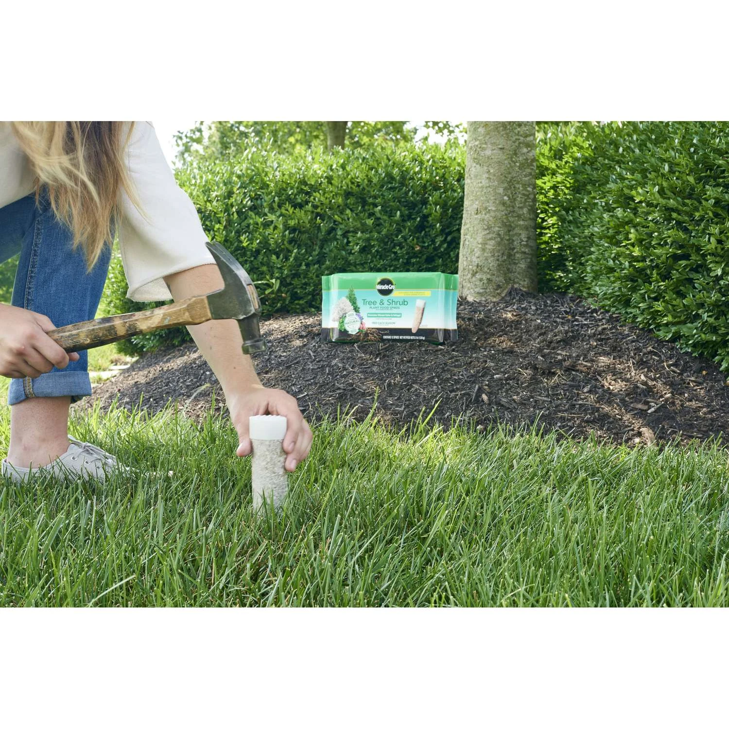 Miracle-Gro Spikes Plant Food 12 Pk 8 Miracle-Gro Spikes Plant Food 12 Pk - Image 6