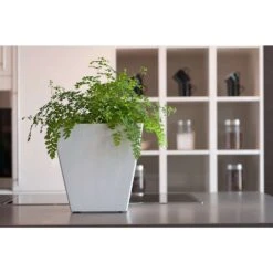 Novelty Artstone 10 In. H X 9.81 In. W X 9.81 In. D Resin Ella Planter White -ORBIT || ACE || TORO Shop 894dc032 04b9 4bbc 8c88 4d911def0067