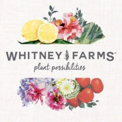 Whitney Farms Organic Granules All Purpose Plant Food 4 Lb -ORBIT || ACE || TORO Shop 8997d7d8 6463 4998 abda 82aa22bbb61d