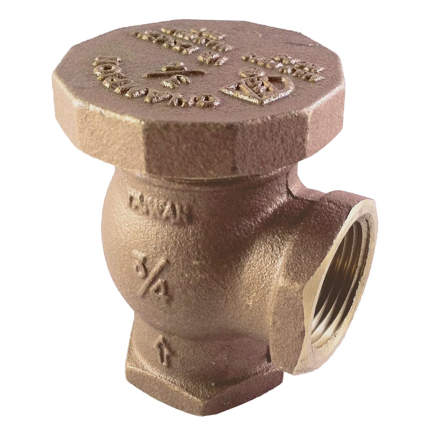 Champion Angle Valve 3/4 In. 150 Psi 4 Champion Angle Valve 3/4 In. 150 Psi - Image 2