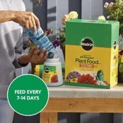 Miracle-Gro Granules All Purpose Plant Food 10 Lb -ORBIT || ACE || TORO Shop 8bcb47d0 dd70 49eb 9628 bada7e395990