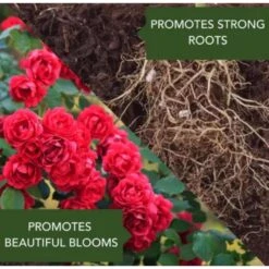 BioAdvanced 2-in-1 Systemic Roses And Flowers 6-9-6 Rose & Flower Fertilizer/Insecticide 10 Lb 10 BioAdvanced 2-in-1 Systemic Roses And Flowers 6-9-6 Rose & Flower Fertilizer/Insecticide 10 Lb -ORBIT || ACE || TORO Shop 8dee0fea 1fcc 4355 86cd 9014c3590e12