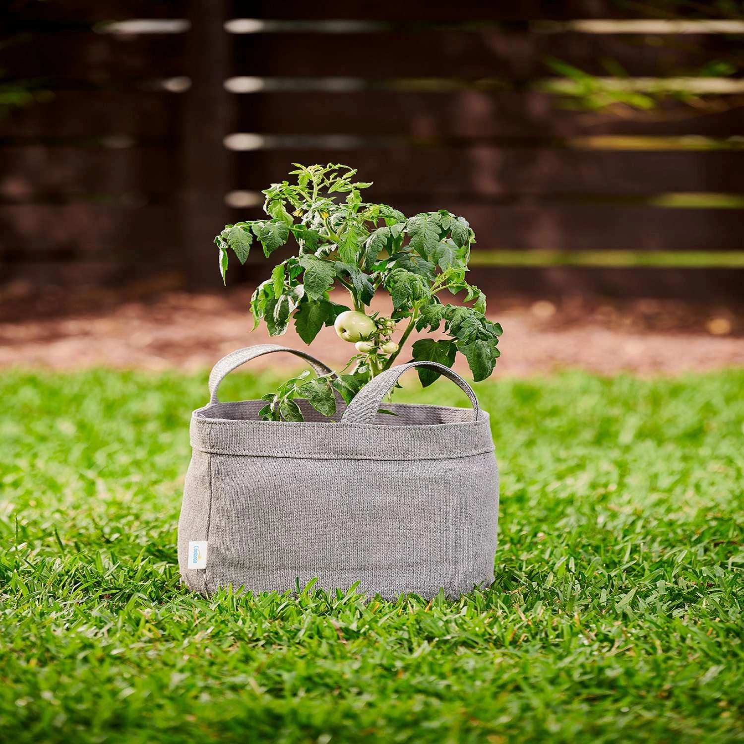 Coolaroo 11 In. H X 12 In. W X 12 In. D X 12 In. D Polyethylene Round Planter Bag Gray 3 Coolaroo 11 In. H X 12 In. W X 12 In. D X 12 In. D Polyethylene Round Planter Bag Gray