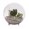 Panacea 9.5 In. H X 10.25 In. D Glass Sphere Terrarium With Feet Clear 2 Panacea 9.5 In. H X 10.25 In. D Glass Sphere Terrarium With Feet Clear -ORBIT || ACE || TORO Shop 90aed11e 60e4 45e1 b138 9677093996fc
