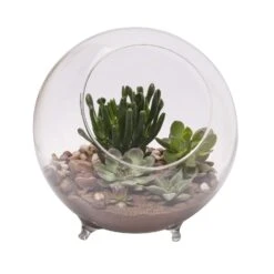 Panacea 9.5 In. H X 10.25 In. D Glass Sphere Terrarium With Feet Clear