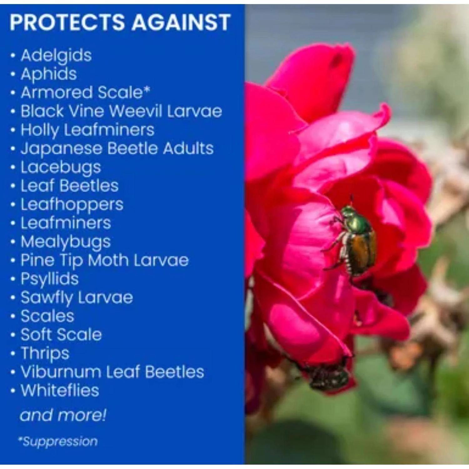 BioAdvanced 2-in-1 Systemic Roses And Flowers 6-9-6 Rose & Flower Fertilizer/Insecticide 10 Lb 4 BioAdvanced 2-in-1 Systemic Roses And Flowers 6-9-6 Rose & Flower Fertilizer/Insecticide 10 Lb - Image 2