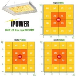 IPower Grow Tent Kit 14 IPower Grow Tent Kit -ORBIT || ACE || TORO Shop 9825b972 fe3d 4a3b aa69 1acde83101ee