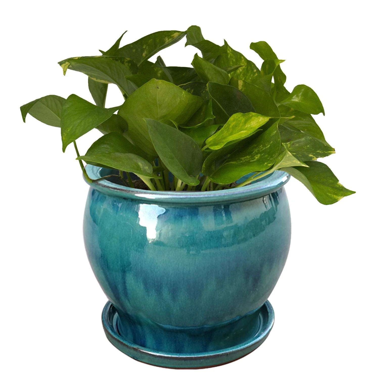 Trendspot Studio 6.3 In. H X 8 In. W X 8 In. D X 8 In. D Ceramic Planter Aqua 4 Trendspot Studio 6.3 In. H X 8 In. W X 8 In. D X 8 In. D Ceramic Planter Aqua - Image 2