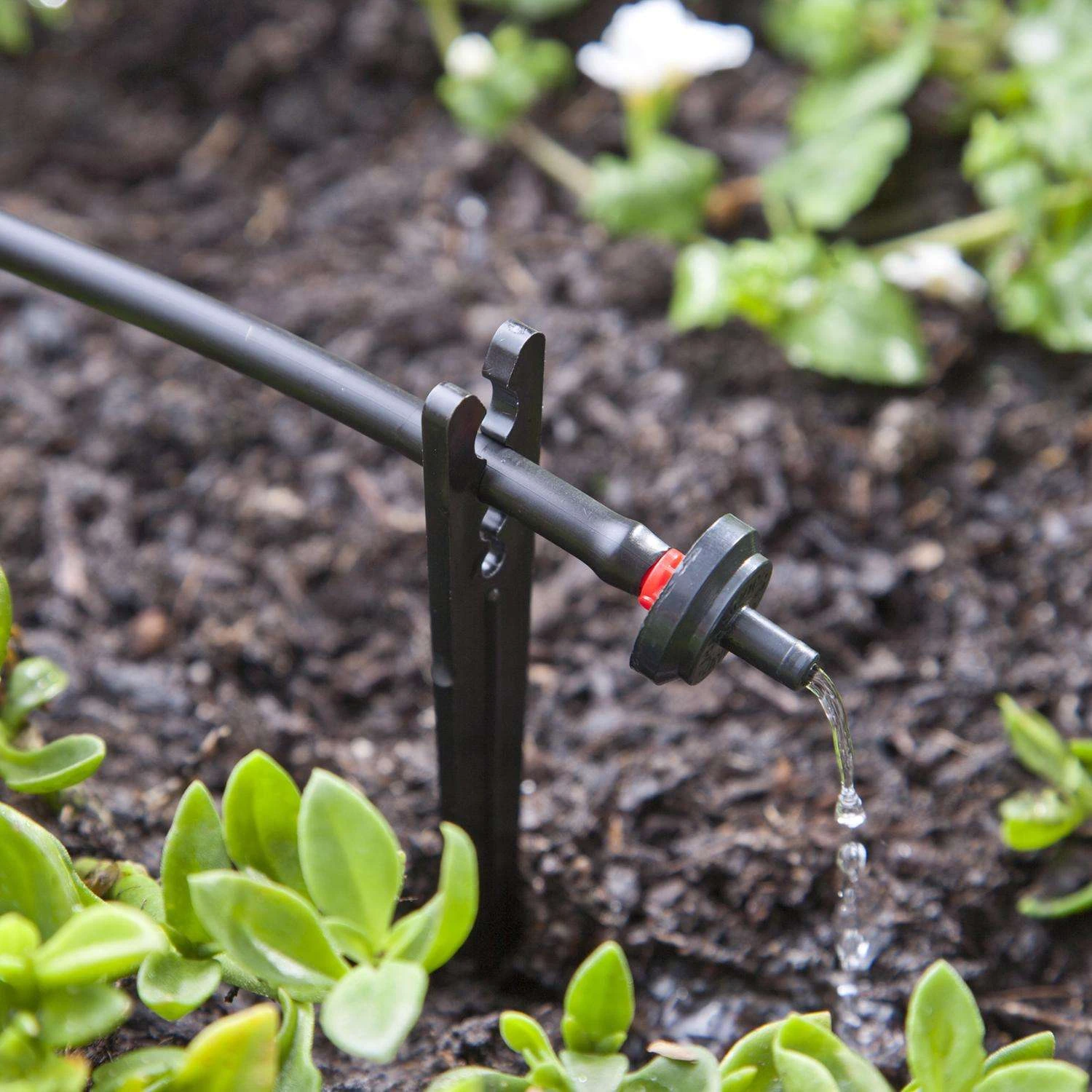 Raindrip Spot Drip Irrigation Dripper 0.5 Gph 50 Pk 8 Raindrip Spot Drip Irrigation Dripper 0.5 Gph 50 Pk - Image 6