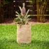Coolaroo 14 In. H X 15 In. W X 15 In. D X 15 In. D Polyethylene Round Planter Bag Desert Sand