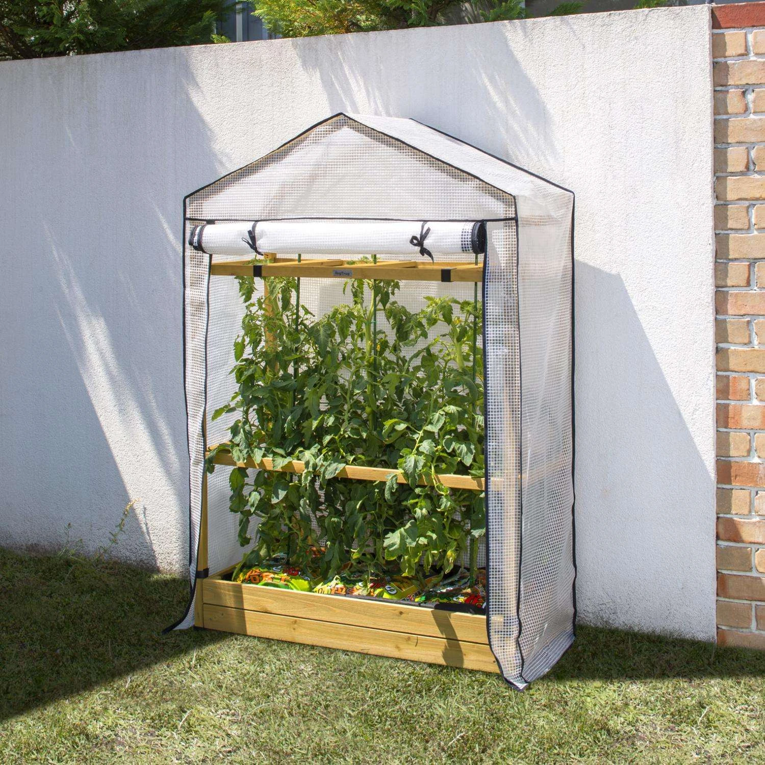 VegTrug Tomato Greenhouse Natural 65.7 In. H X 43.7 In. W Greenhouse 5 VegTrug Tomato Greenhouse Natural 65.7 In. H X 43.7 In. W Greenhouse - Image 3