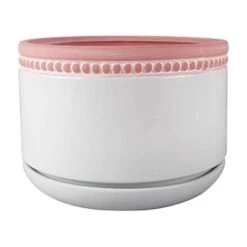 Trendspot Ada 4.5 In. H X 6 In. W X 6 In. D X 6 In. D Ceramic Ceramic Pot Whitewash