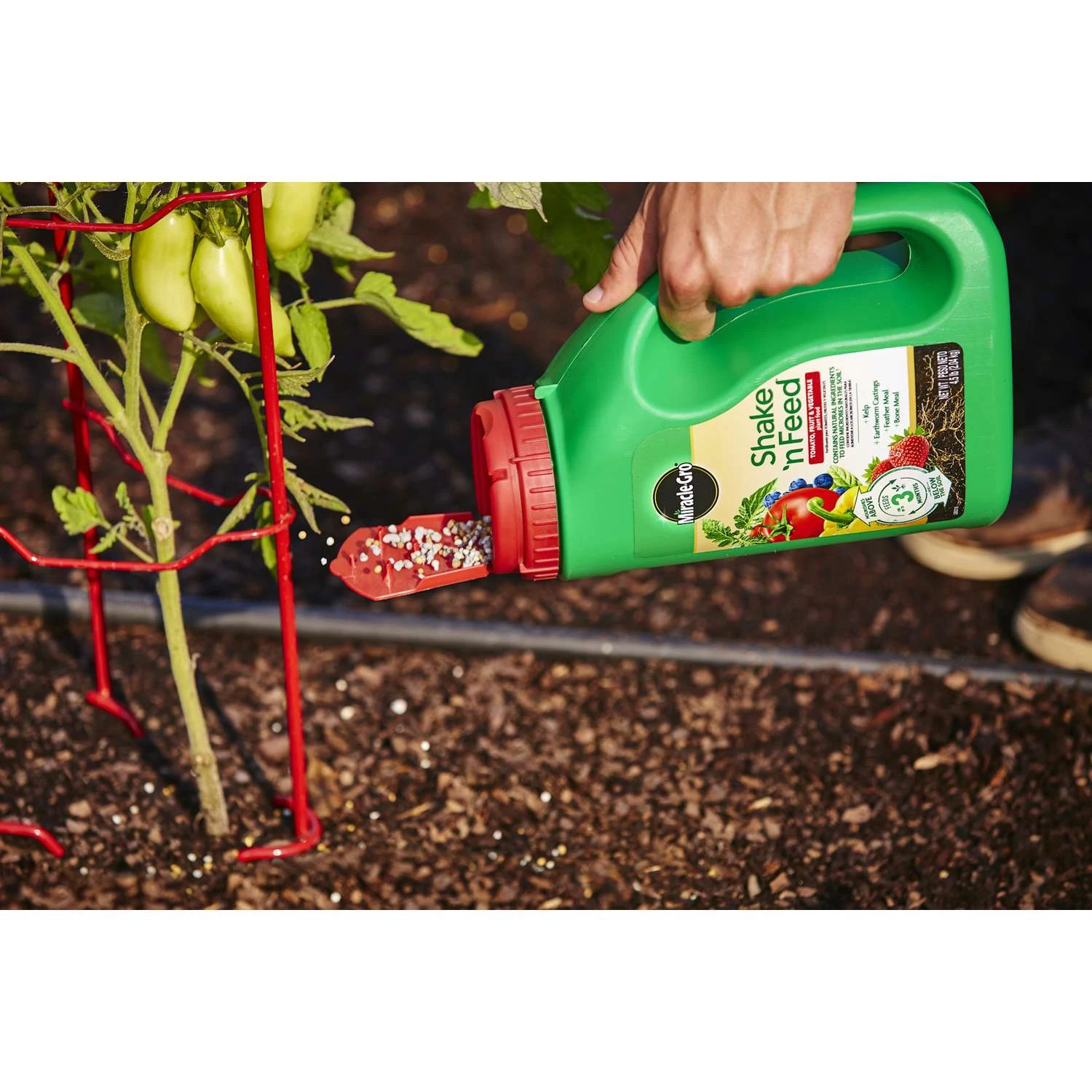 Miracle-Gro Shake 'n Feed Granules Plant Food 4.5 Lb 10 Miracle-Gro Shake 'n Feed Granules Plant Food 4.5 Lb - Image 8