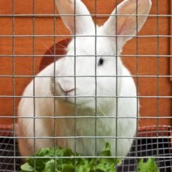 IronRidge 24 In. H X 25 Ft. L Galvanized Steel Welded Wire Fence 1 In. 15 IronRidge 24 In. H X 25 Ft. L Galvanized Steel Welded Wire Fence 1 In. -ORBIT || ACE || TORO Shop a620f6e0 ce4b 46ad a244 61a0969a0df2