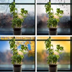 Feit Grow Fixtures Hydroponic Grow Light 54 W -ORBIT || ACE || TORO Shop a6e9d79d b4fc 4675 bf1d 2668f04213b3